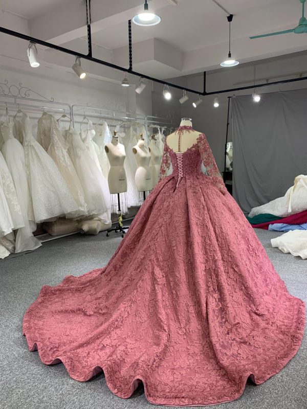B208 #Large Trailing Tail Of Pink Lace Embroidery Long Sleeve Wedding Grown Dresss - Image 6