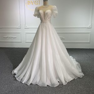 Z010-The Organza V-neckline Short Sleeve With Long Tail