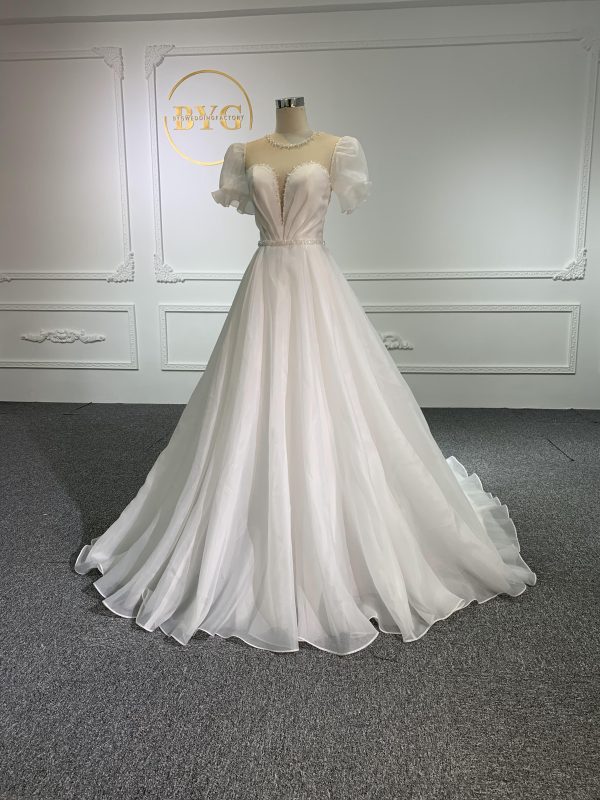 Z010-The Organza V-neckline Short Sleeve With Long Tail