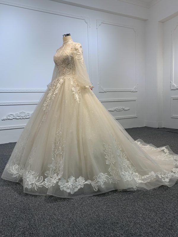 29601-The Champagne Embroidered A-line Wedding Gown - Image 2