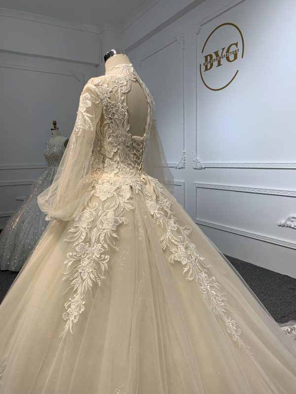 29601-The Champagne Embroidered A-line Wedding Gown - Image 3