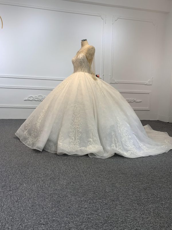 29776-1 The Luxury Beading Flesh Color Net Ball Gown With Embroidered Sweep - Image 3