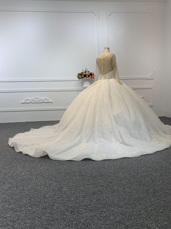 29776-1 The Luxury Beading Flesh Color Net Ball Gown With Embroidered Sweep - Image 5