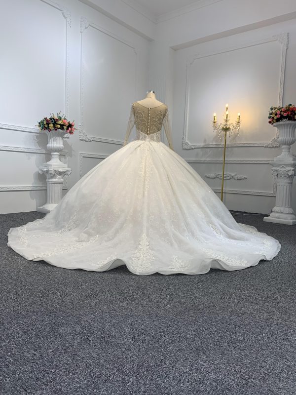 29776-1 The Luxury Beading Flesh Color Net Ball Gown With Embroidered Sweep - Image 6