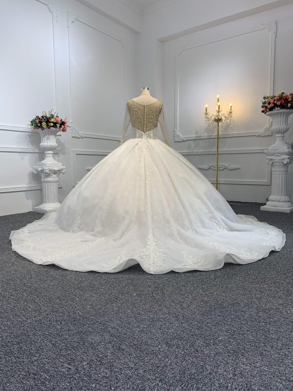 29776-1 The Luxury Beading Flesh Color Net Ball Gown With Embroidered Sweep - Image 8