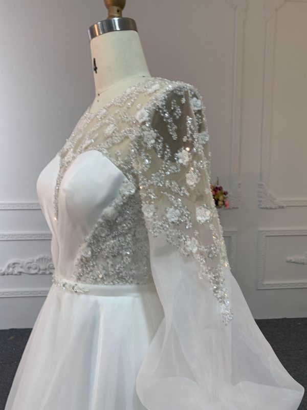 Z021-The Organza V-Neckline Long Tail A-Line Gown - Image 3