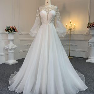 Z021-The Organza V-Neckline Long Tail A-Line Gown