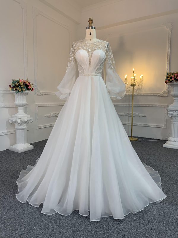 Z021-The Organza V-Neckline Long Tail A-Line Gown