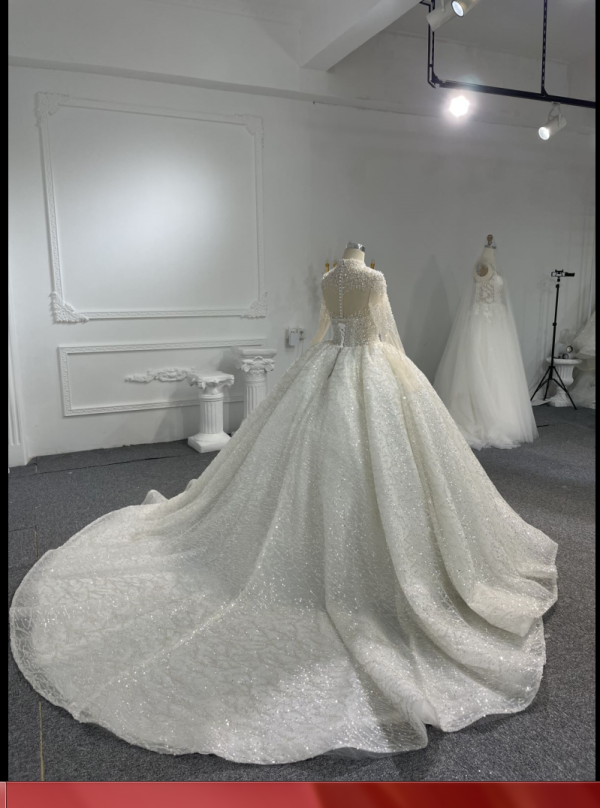 Z069- BYG Long Sleeves Super Luxury Crystal and Pearls Beading Ball gown - Image 6