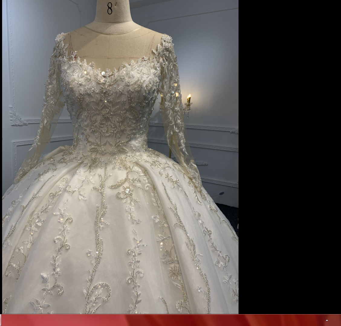 B238- BYG ivory long sleeves elegant flower beading lace ball gown