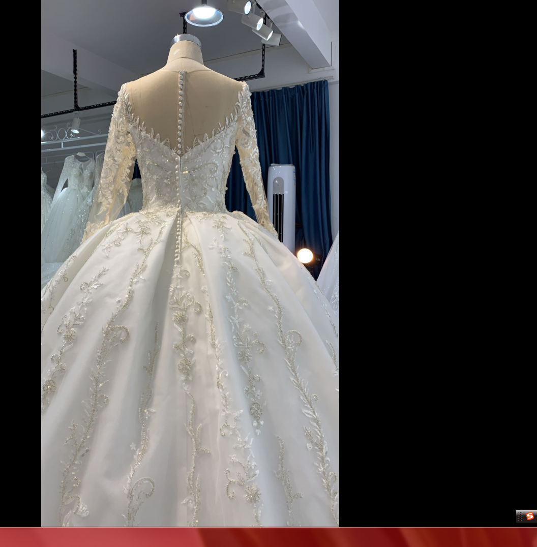 B238- BYG ivory long sleeves elegant flower beading lace ball gown - Image 5