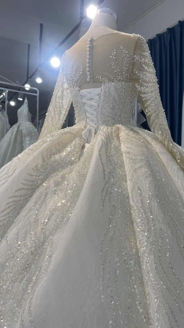 29811- BYG Long sleeve illusion tulle beadings and sequins ballgown - Image 9