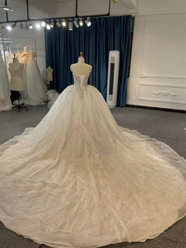 BYG24-13 LUXURY DIAMOND SLEEVELESS WEDDING DRESS WITH 2 METERS TAIL - Image 5