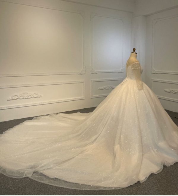 BYG24-15 THE UPPER BODY BEADED LUXURY LONG SLEEVE BALL GOWN - Image 5