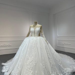 BYG24-7  LUXURY SHORT SLEEVES WITH HEAVY BEADINGS BWLLGOWN