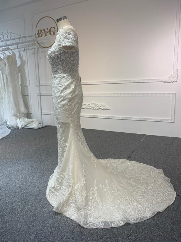 Z063-champagne  BYG LUXURY SHORT SLEEVES MERMAID DRESS WITH DETACHABLE TAIL - Image 5