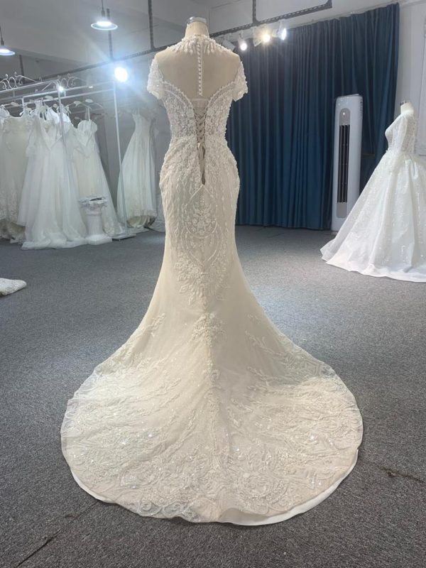 Z063-champagne  BYG LUXURY SHORT SLEEVES MERMAID DRESS WITH DETACHABLE TAIL - Image 6