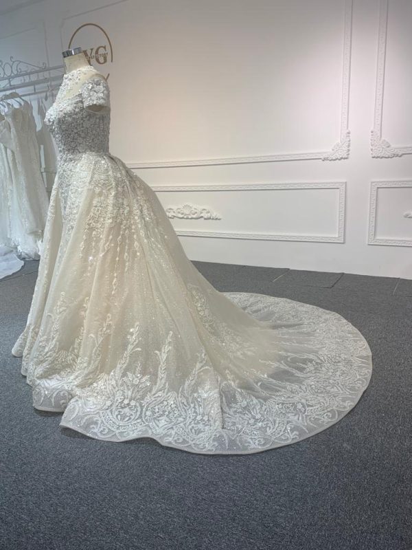 Z063-champagne  BYG LUXURY SHORT SLEEVES MERMAID DRESS WITH DETACHABLE TAIL - Image 2