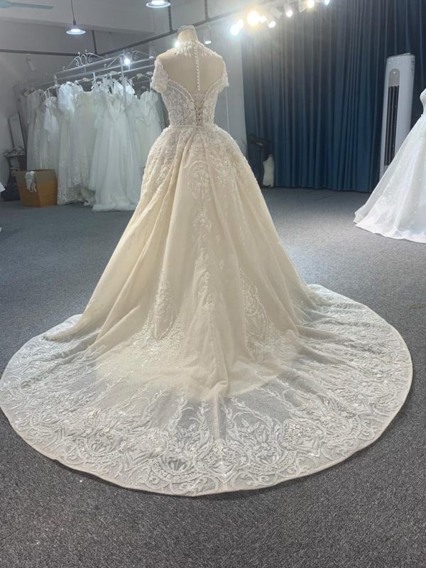 Z063-champagne  BYG LUXURY SHORT SLEEVES MERMAID DRESS WITH DETACHABLE TAIL - Image 3