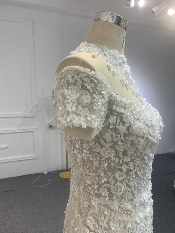 Z063-champagne  BYG LUXURY SHORT SLEEVES MERMAID DRESS WITH DETACHABLE TAIL - Image 8